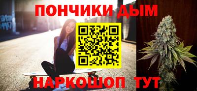 индика Тулун