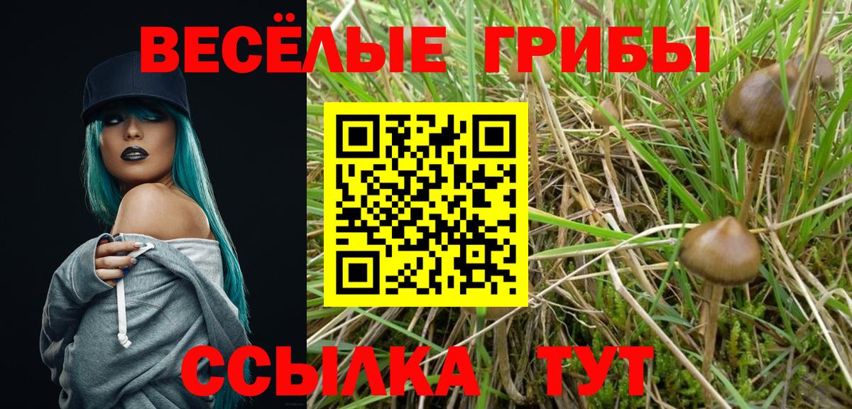 Галлюциногенные грибы мухоморы  Вход с VPN  Краснознаменск 